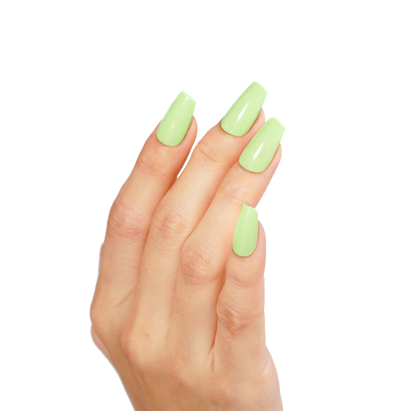 ICE NOVA | SPRING & SUMMER 2024 | Apple Green